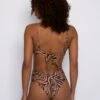 Melly Bottom - Tigre -SunKissed Swim Store SKATIE Tigre 37 d8ae60c0 e37d 44a2 80d3 8acf9be69ef8